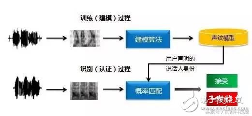 人类的智慧，生物识别技术正在改变我们的生活