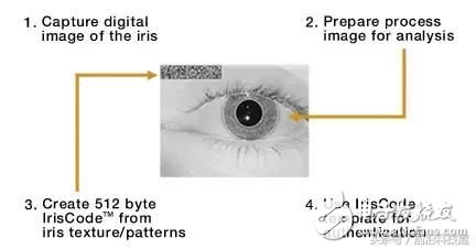 人类的智慧，生物识别技术正在改变我们的生活
