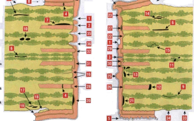 PCB电镀通孔<b class='flag-5'>横截面</b>的典型现象的原理图免费下载