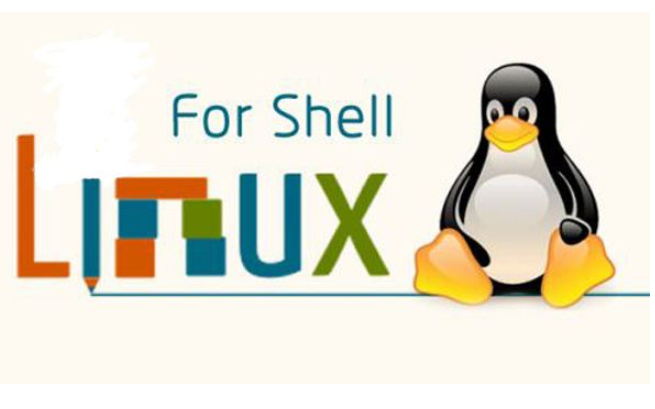 <b class='flag-5'>Linux</b> <b class='flag-5'>Shell</b><b class='flag-5'>脚本</b>编程基础和相关资料合集免费下载