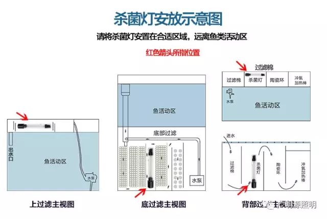 鱼缸杀菌灯应该如何使用