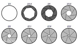分享关于镜头景深的知识