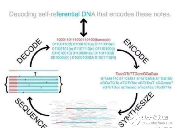 DNA存储硬盘拥有4Mb/s的存储速度