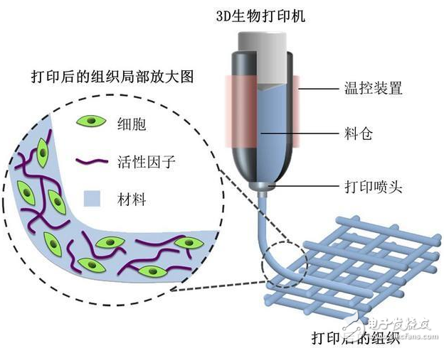 浅析生物3D打印