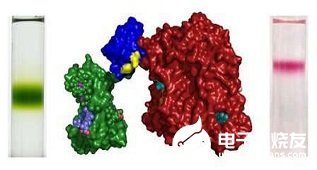 科学家开发出一种光合作用蛋白系统 可增强太阳能技术设备的可持续性