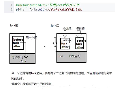 <b class='flag-5'>fork</b>函数的作用_<b class='flag-5'>fork</b>函数创建进程