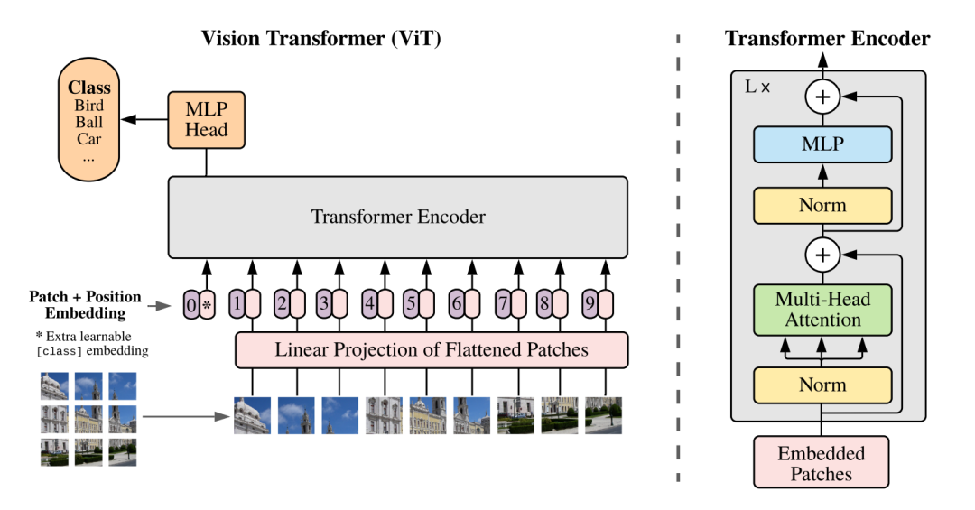 视觉新范式<b class='flag-5'>Transformer</b>之ViT的成功