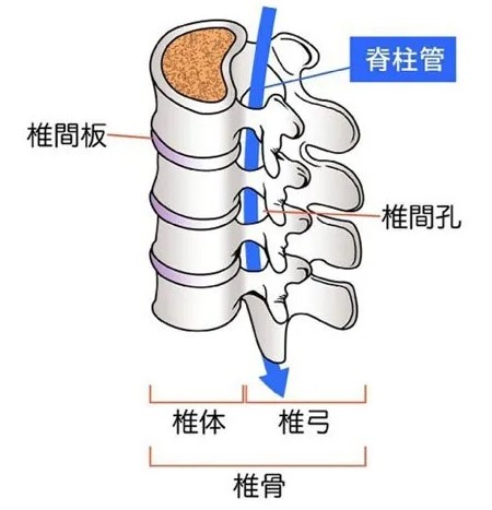 poYBAGN9spaAMC-7AACWrnUJ5z8585.png