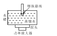 射频功率放大器在超声实现离体肿瘤<b class='flag-5'>细胞</b><b class='flag-5'>研究</b>的应用