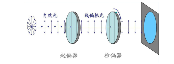 行业知识 | “看清”世界，探秘<b class='flag-5'>光</b>的<b class='flag-5'>偏振</b>