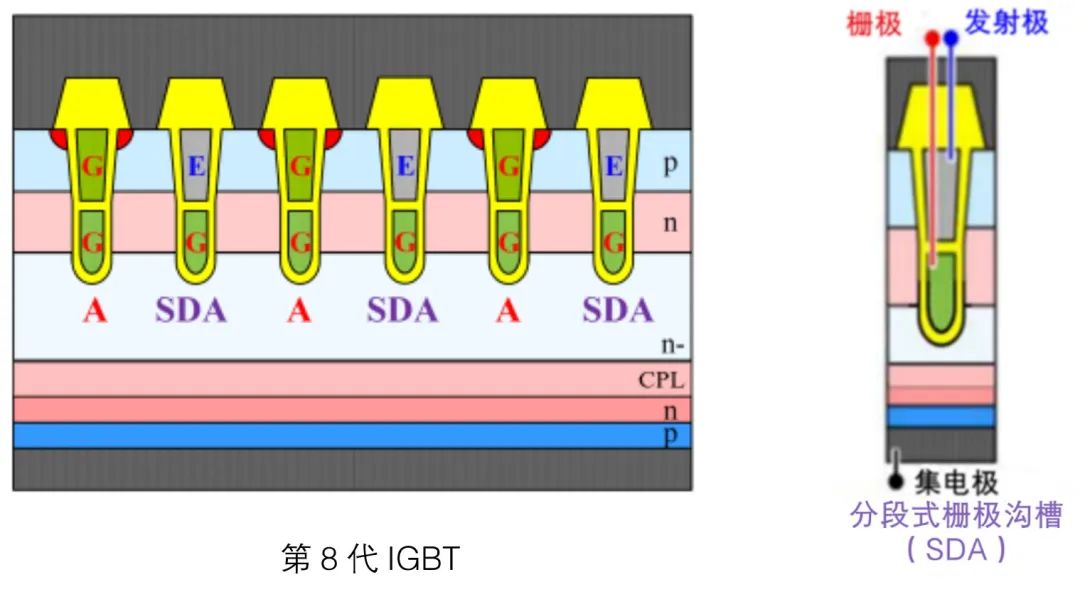 6e28a20a-a247-11ef-93f3-92fbcf53809c.jpg