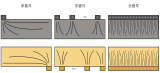 GGII：国内46大圆柱产业链“抢跑”