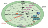 一览IEEE 802协议，全方位比较Zigbee...