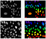 OpenCV4中联通组件分析的<b class='flag-5'>一</b><b class='flag-5'>个</b>缺点