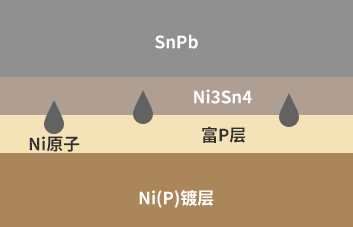 ENIG <b class='flag-5'>Ni</b>（P）镀层焊接界面P偏析产生机理