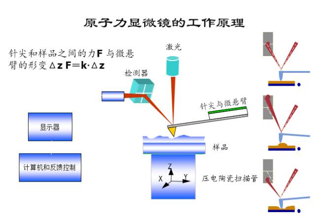 <b class='flag-5'>原子</b><b class='flag-5'>力</b><b class='flag-5'>显微镜</b>AFM测试与案例分享