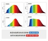 瑞丰全光谱解决方案打造校园健康光环境