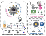 基于Mn顺磁弛豫和纳米催化的多信号生物传感器开发