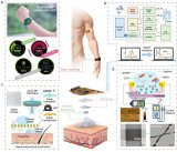 一种微型可穿戴皮肤界面智能石墨烯纳米电子（SIG...