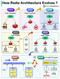 <b class='flag-5'>Redis</b>是怎么从单体架构发展到分布式<b class='flag-5'>缓存</b>的？