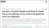 基于微流控的纳米细胞芯片，用于肺癌<b class='flag-5'>免疫治疗</b>的精准预测