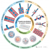 液滴微流控技术在<b class='flag-5'>癌症</b>研究中的应用：从单<b class='flag-5'>细胞</b>分析到3D<b class='flag-5'>细胞</b>培养
