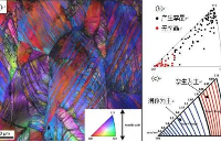 电子背散射衍射(<b class='flag-5'>EBSD</b>)<b class='flag-5'>技术</b><b class='flag-5'>在</b>孪晶结构分析<b class='flag-5'>中</b>的应用<b class='flag-5'>研究</b>