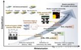 <b class='flag-5'>选择性</b>沉积<b class='flag-5'>技术</b>介绍