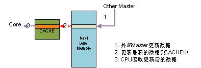 图 3   内核读一致性模型