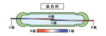 干簧管应用入门级手册